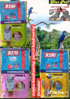 Parrot handrearing food