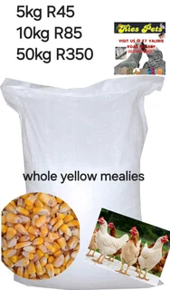 Whole yellow mealies