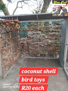 Coconut shell bird toys available