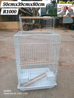 Parrot cages