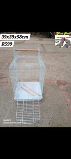 Medium bird cages