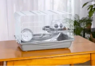 Lyon hamster cages