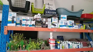 Small aquarium corner sponge filter