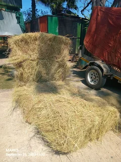Hay bales for livestock