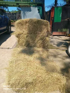 Hay bales for livestock