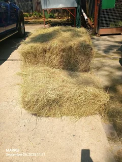 Hay bales for livestock