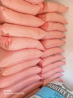 Striped sunflower seeds