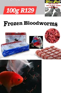 Frozen bloodworms for fish