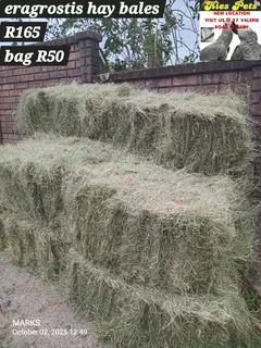 Eragrostis hay bales