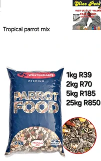 Tropical parrot mix