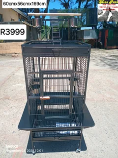 Medium parrot penthouse