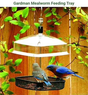 Gardman mealworm feeder for small birds