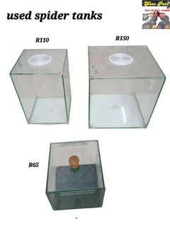 Tanks for spiders