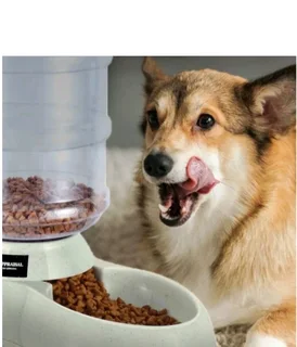 Dogs and cat automatic food feeder