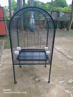 Used parrot cage