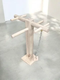 Parrot play stand mounted on top of the cage