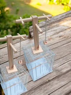 Parrot play stand mounted on top of the cage