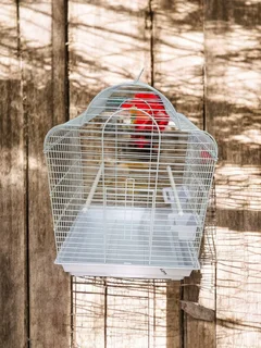 Arched roof medium bird cage