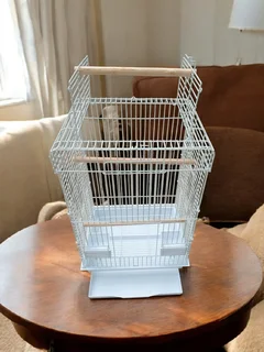 Large parrot cage