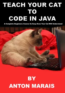 Java programming book (suitable for IEB)