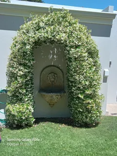 Am looking for job as gardener  or out door  cleaner