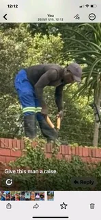 Am looking for as gardener or out door  cleaning