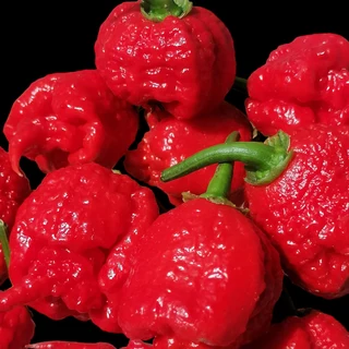 Original Red Carolina Reaper seeds