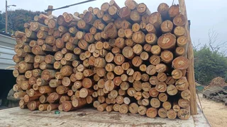 Poles , Shipping/Cargo Dunnage ,