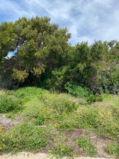 Vacant stand for sale in St Francis On Sea Phase 2