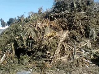 Rubbish and rubble removal at lower prices.