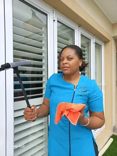 Three Ladies House Cleaning Services