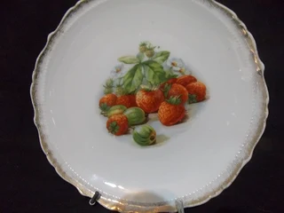 Retro Fruit Plates