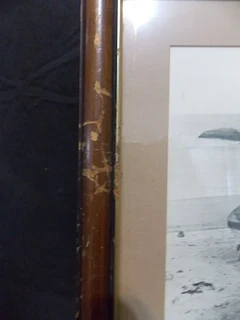 Lovely Print at 3rd Beach Clifton