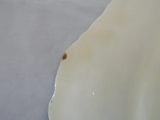 Beautiful Grindley Plate