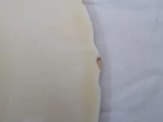 Beautiful Grindley Plate