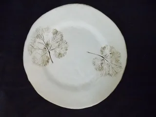 Beautiful Pottery Plate