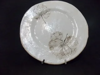 Beautiful Pottery Plate