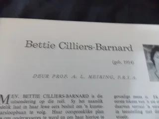 Ons Kuns Afrikaans Book