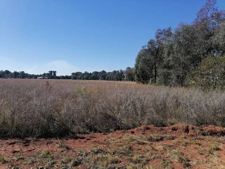 Vacant land facing the Sybrand Van Niekerk Highway