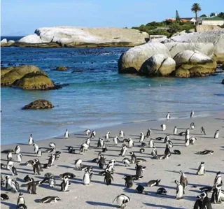 Photography Tours  - cape Peninsula coastal . City . Country