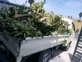 Rubble remover in Cape town