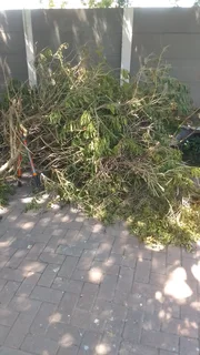 Rubble remover in Cape