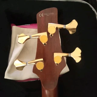 IBANEZ SDGR BASS GUITAR