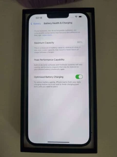 iPhone 13 Pro Max (256GB)