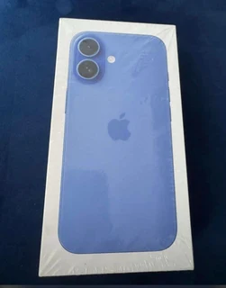 iPhone 16 Plus (256GB)