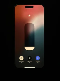 iPhone 15 Pro Max (256GB)