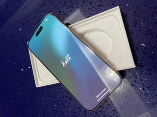 iPhone 16 Pro Max (256GB)