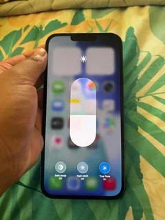 iPhone 13 Pro Max 256GB