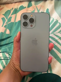 iPhone 13 Pro Max 256GB
