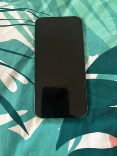 iPhone 13 Pro Max 256GB